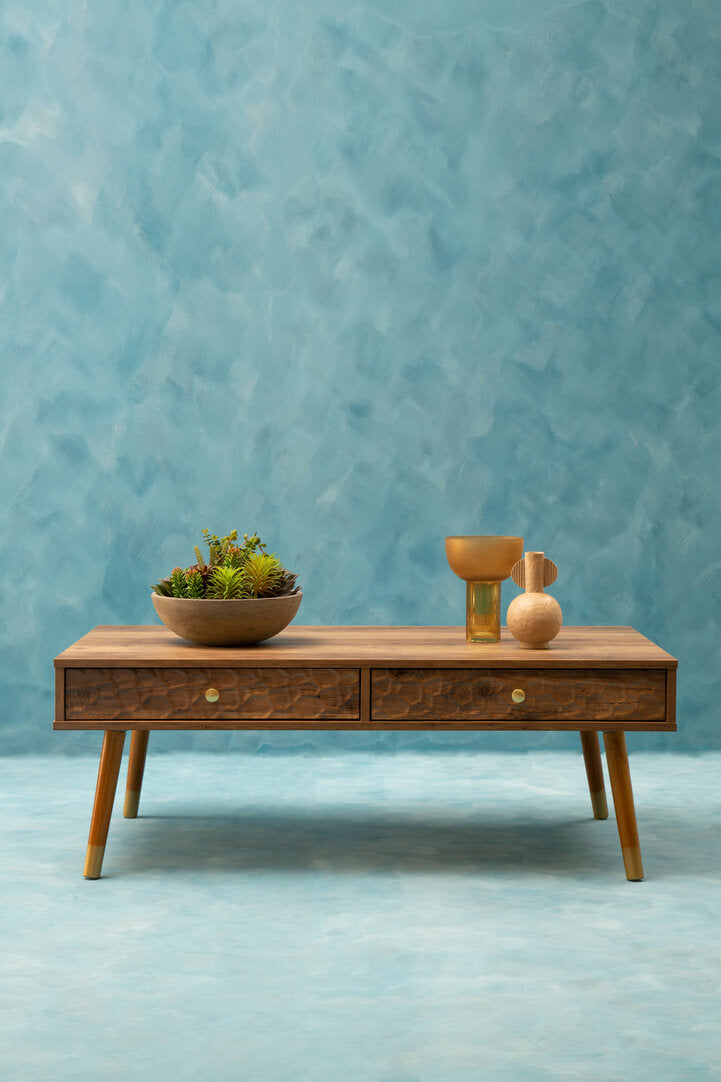 Frida Wood Veneer Coffee Table with 2 Drawers