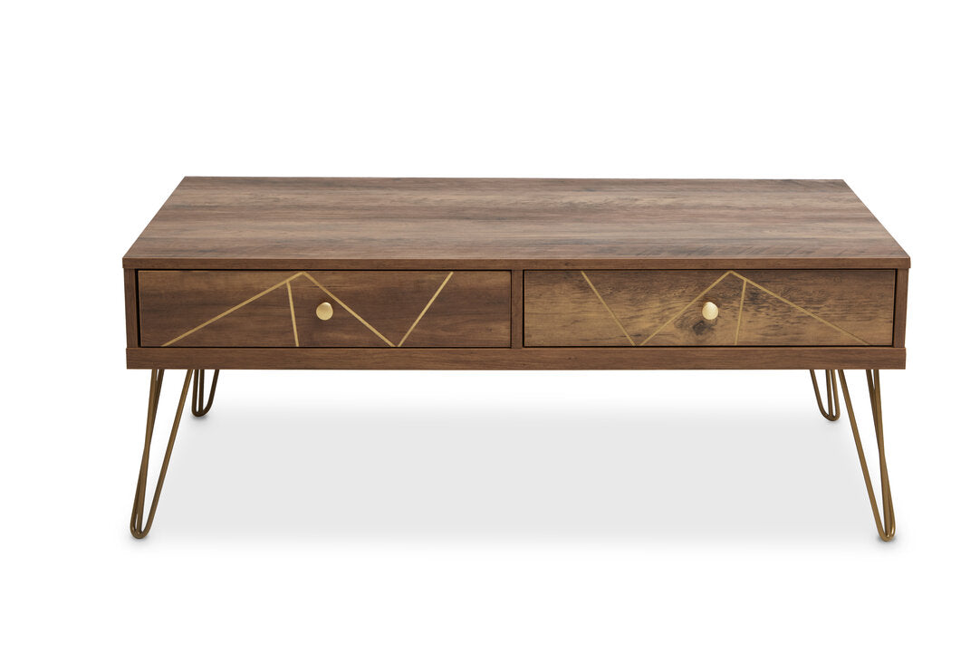 Flori Coffee Table with 2 Drawers