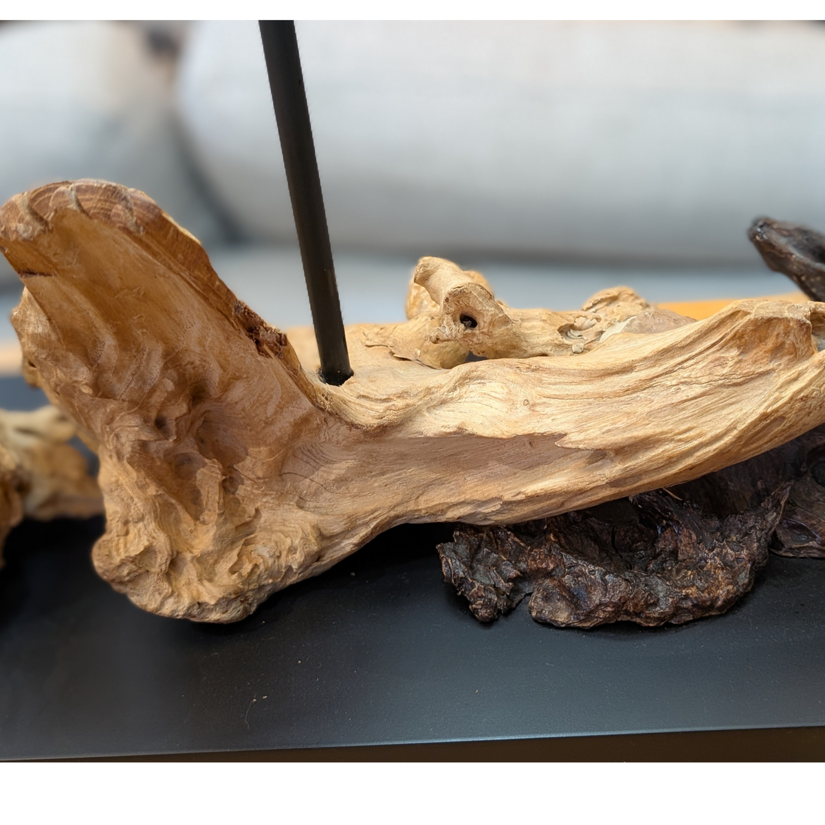 Sculptural driftwood table lamp with a sleek black rectangular shade