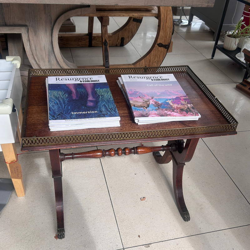 Mahogany-Style Occasional Table with Brass Gallery
