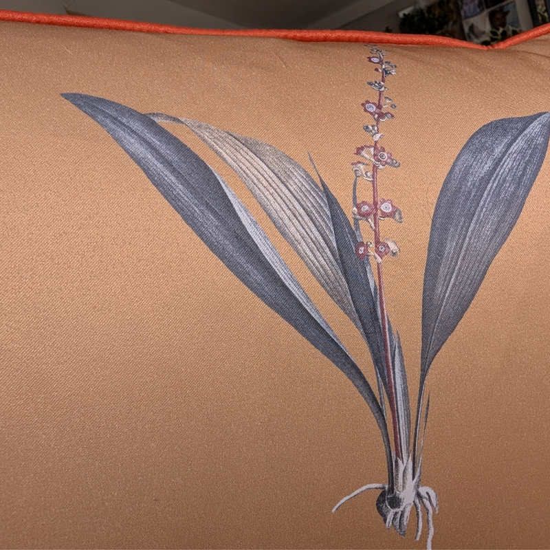 Ochre Botanical Print Cushions with Terracotta Piping.